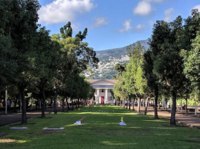 T5 au Jardin de l'Etat Centre historique à Saint-Denis de la Réunion